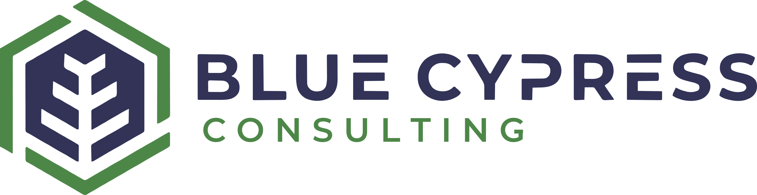 Blue Cypress Consulting Logo